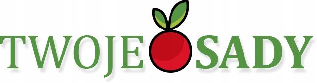 Echinacea jeżówka DARK PINK PEARL cudowny róż DŁUGO KWITNIE - obrazek 3