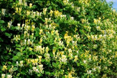 db3f0f5babc08d7ed518d1ab34135dd9