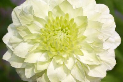 9b31fb31e845b92008d502bf896f4854