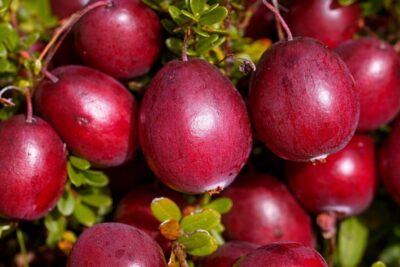 6ef3b7d7b75c3eaa2f3b6370cb39ecfa