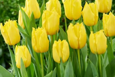 b0de4a8d9440acbffe17929551795289