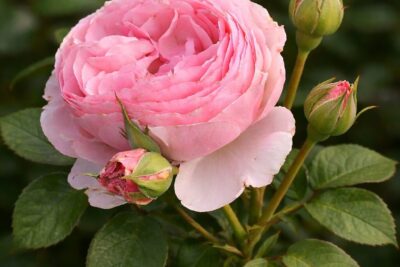 e0f5dd4555becaa3d5964dd6627497c1