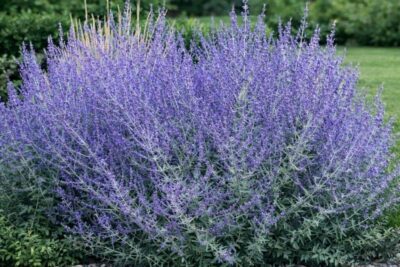 0b099dc5c5e56152168f59dd474fd841