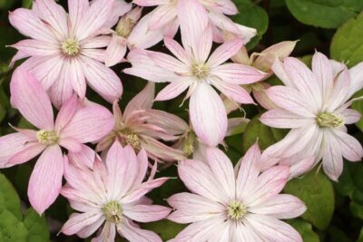 286334857e7664772d05d4d9146150c7