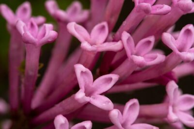 89bcea01fccbaddcc8b288265bf825e3