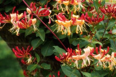 2286263f34ad29ab5183098512f2c985