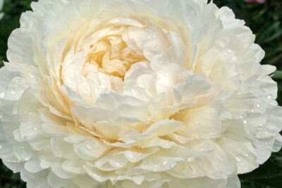 5bbf184b455aa89a78b28a8f989d78d5