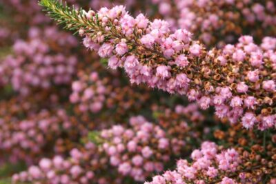 72c89b58074b4f04c70cdc47036ef172