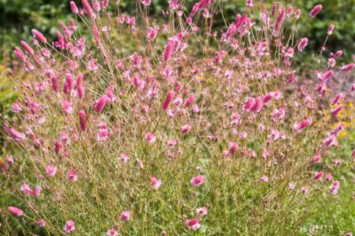 4099e183c5d0c8f5b93832140ab536cb