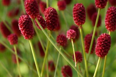 a22e573c3fb209def4866c262f44e695