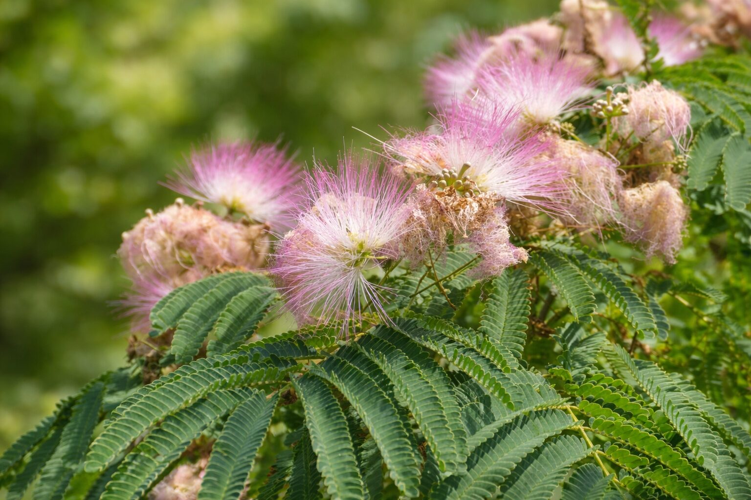 eaeab4f2c3540c7c282777d8ada28d4e