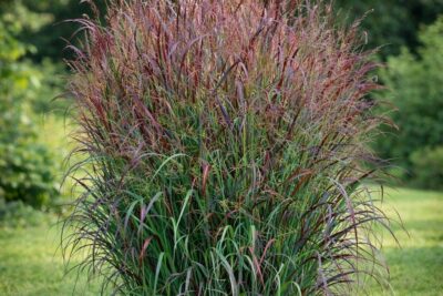 4b9be81aa7af3a864f44d8e2e8f8636c