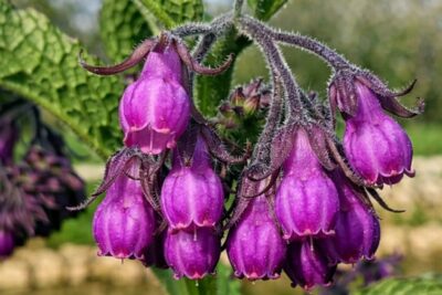 7594bc0f3f90eb2e6288915b9cc9969c