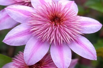 7b62806948719a9302dedaa108c59690