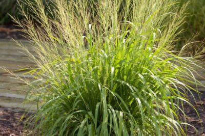 1b0ade7080d3f2b7757a9652b12262a8