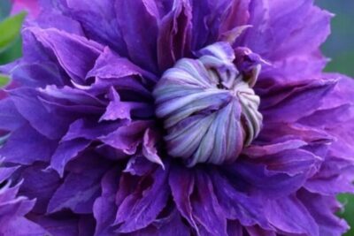 a101602e382638cfe2e867a87f8ab808