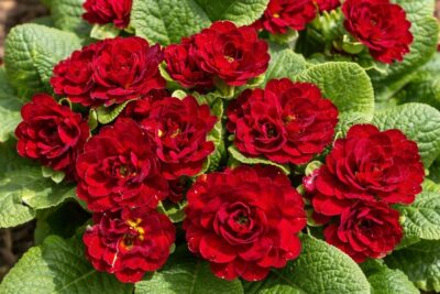 21464dc2143de0d1adccaac307ecb5e3