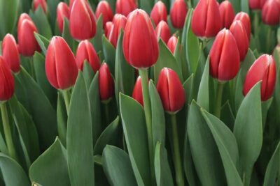 43495b24a333977bec010a108fb9fa4c