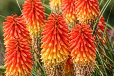 9b873aa615e7bc4cb487bc2509141fd3