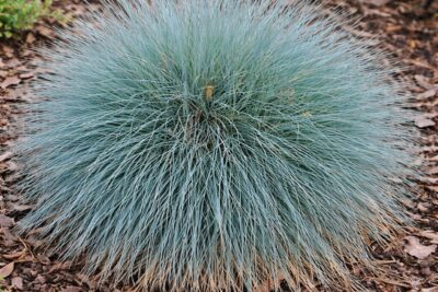 3237f162319c9fb76e5dbd6045a58453