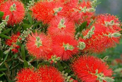 279abbf68d643c3f0c175b3cf97e94fe