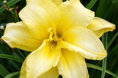 66f6fa754ce6caac1d66d30da53783ef