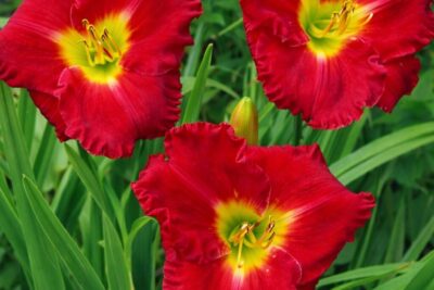 ac300fc11ab3d9089205cf91da8db0bf