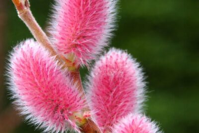 ed2d0095ad281141a5d758bac450db06