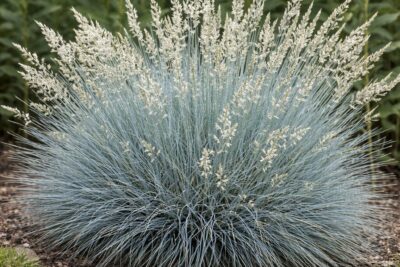 6dfe9ac897fbc7090599c5b87cb8c2e7