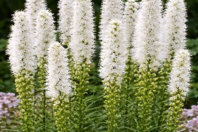 f48bc49714765a5e5f6668d54d5bf6e7