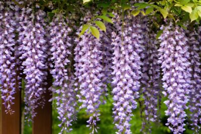 1bcda73c5b47bb51373adcc93f736c41