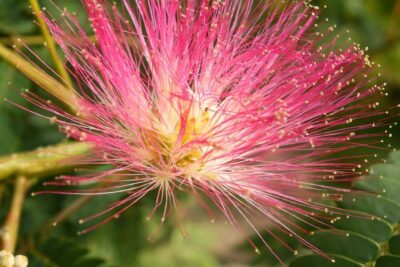 59a2576590fc423ec1d1cc006b37ce1d