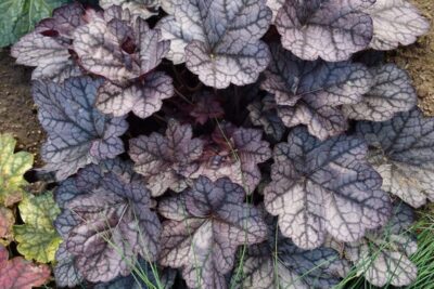 0ee78e7b47ce21ef793f4ebc3589198b