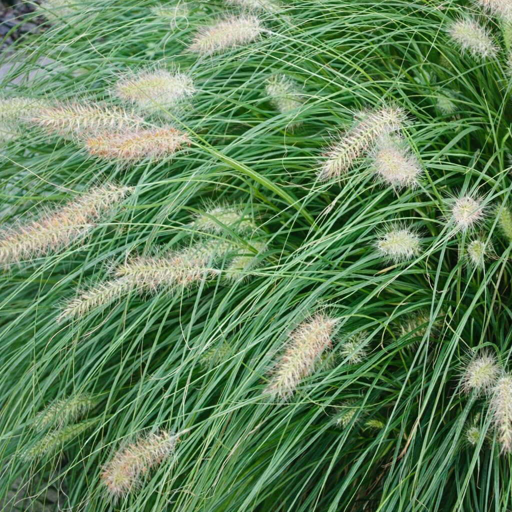 2a28594b7d8abcbe88c3282b5d9b0660