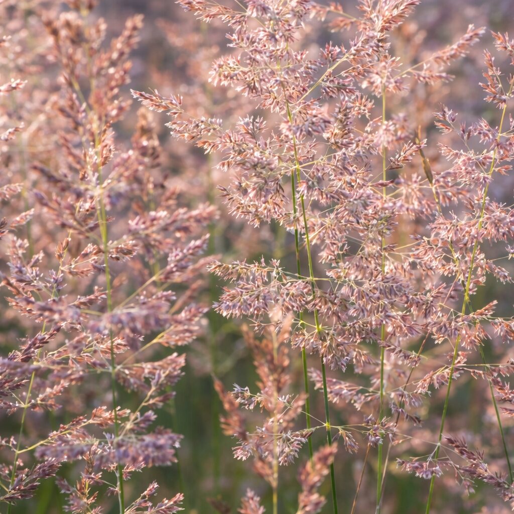 2df0b35769e74ddf577f78e98c9fb417