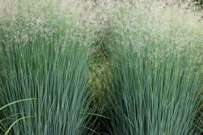 9cbd079b2f2fd091d117565542923223