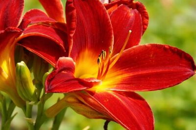 26dfed91e8135cd7dd262d5712328002