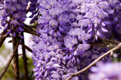 281d7a9153fdf56bd59b7e870059e196