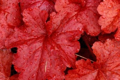 37ff07504573c71d380f7c08c5d64ae2