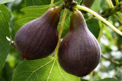 0ff4b79be7ef97f9e247fec59416405f