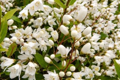 5b74bcc1b59691939146268fb6fd0d5e