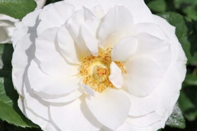 39953289c19d1e82d8e2db5979ce7759