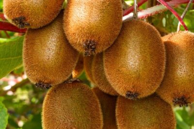 eb55a1323da3955d8f10dfaca134eba1