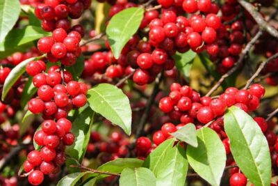 0764c7056ed93f1b09c7e101000f1c04