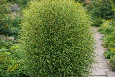 ee275a46f466a579bc27760d1194f54b