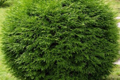 3882b1274e32e851684b6b628d97e1db