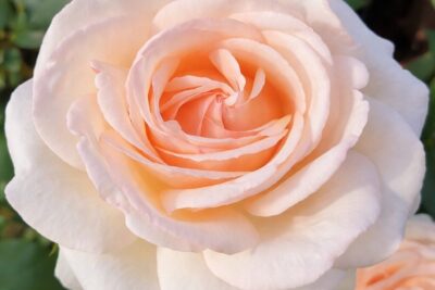 2c5df79b7928c07f463d714d38f1845e