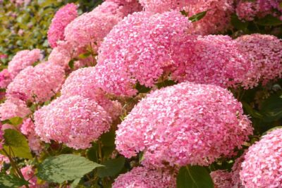 b9b2f36b108520039240d1d39a147c0d