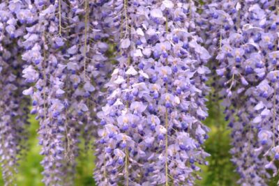 4fe4553faea5eba6a14007052113445d