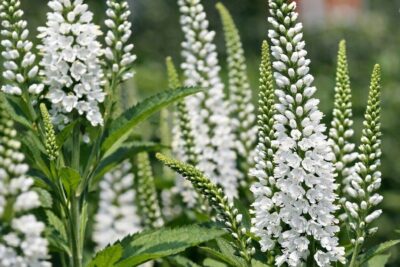 88544ebd5279a8bb312bcf93034cb0d6